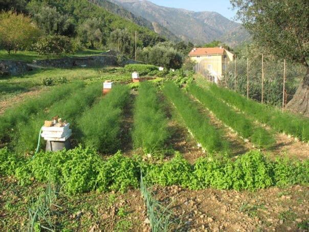 Agriturismo Argentea Villa Arenzano Buitenkant foto